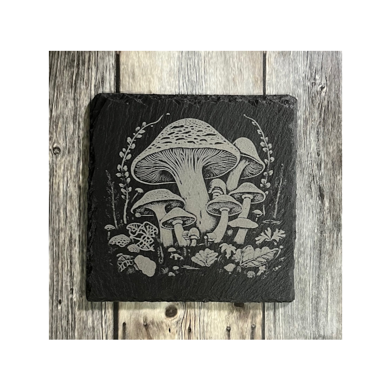 (image for) Mushrooms Graphic 4" Slate Coaster, set of 4