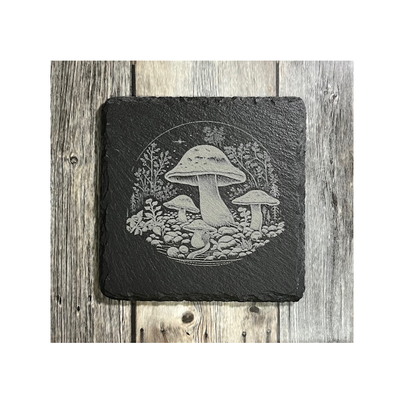 (image for) Mushrooms Graphic 4" Slate Coaster, set of 4