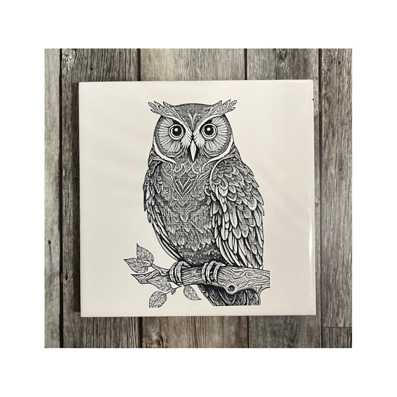 (image for) Ceramic Trivet, 6" Square with Owl