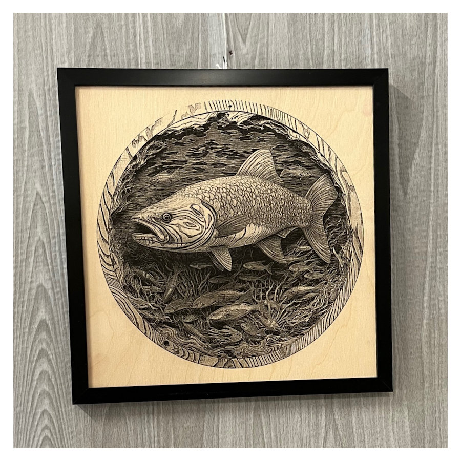 (image for) Fish Laser Art, Framed