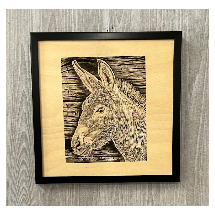 (image for) DonkeyLaser Art, Framed
