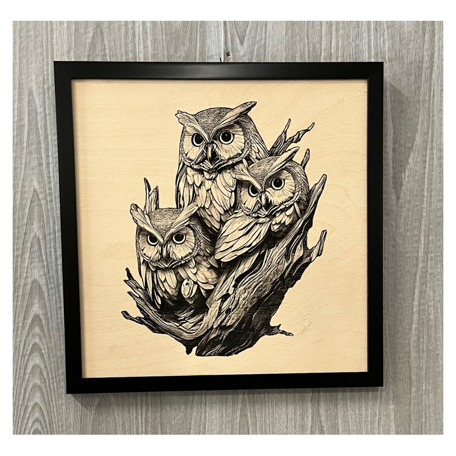 (image for) Three Owls Laser Art, Framed